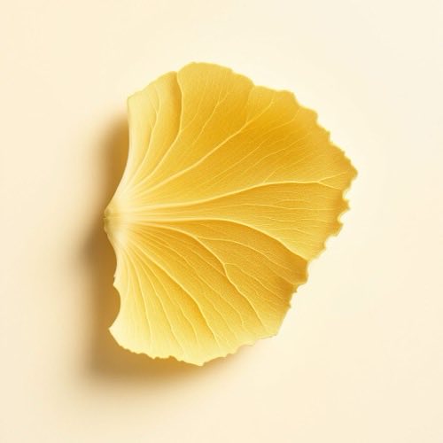 Ginkgo Biloba-Extrakt