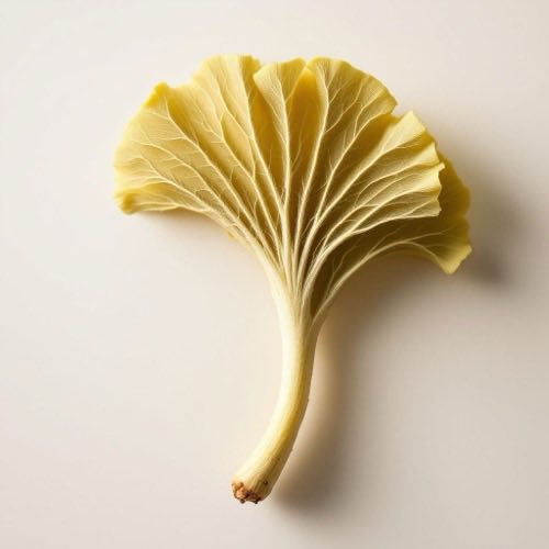 Inhaltsstoff: Ginkgo biloba