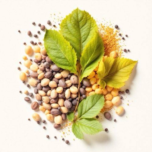 Inhaltsstoff: L-Glutamin