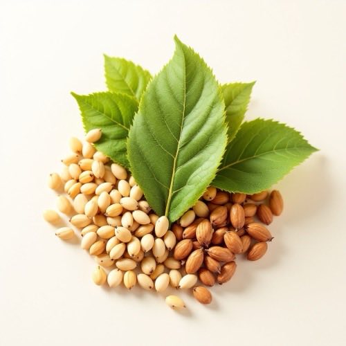 L-Tryptophan