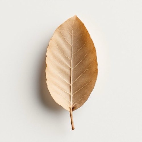 Magnesium – natürlicher Inhaltsstoff