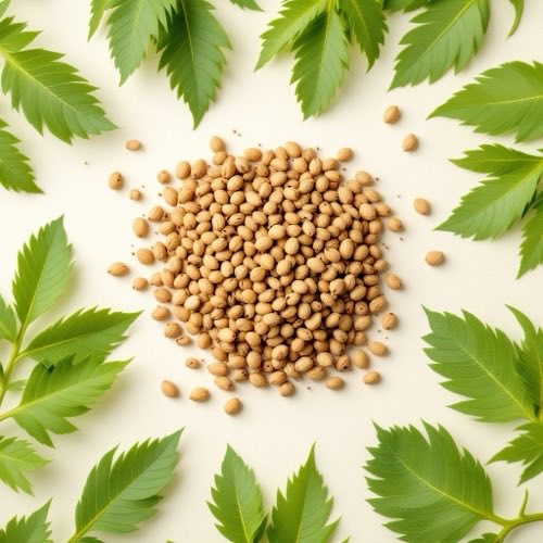 Neem