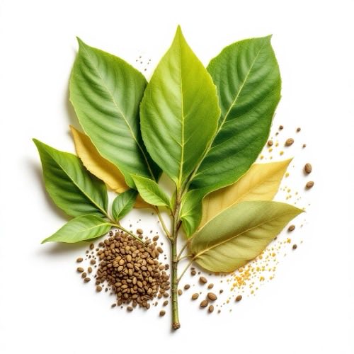 Vitamin E Zutat