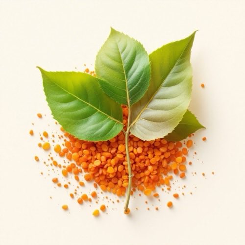 Zeaxanthin