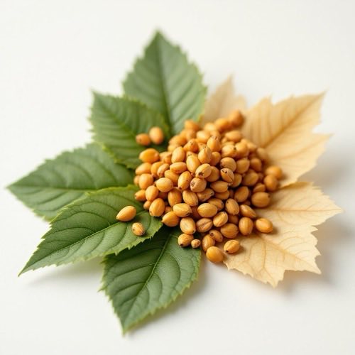 L-carnitina