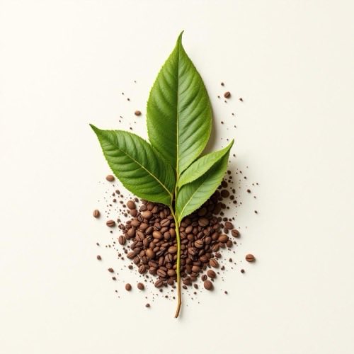 Extracto de café verde