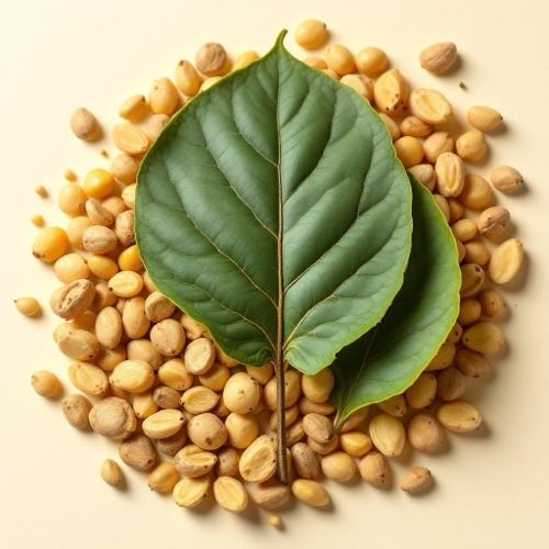 Extracto de Garcinia Cambogia