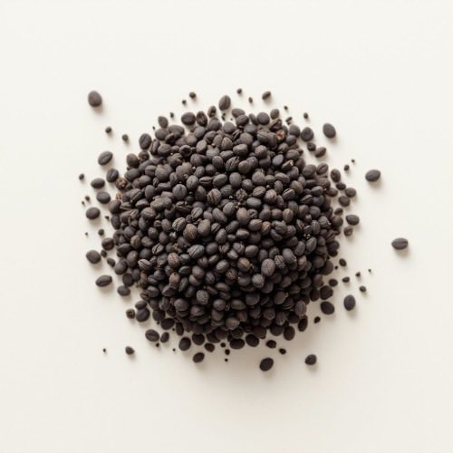 Extracto de grosella negra