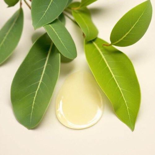 Extracto de hoja de olivo