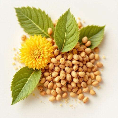 Extracto de pasiflora