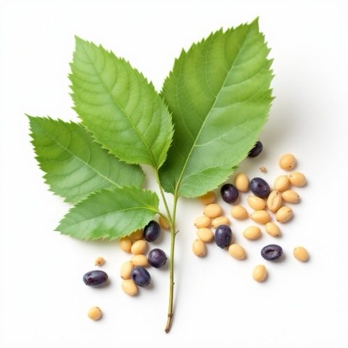 Extracto de semilla de uva
