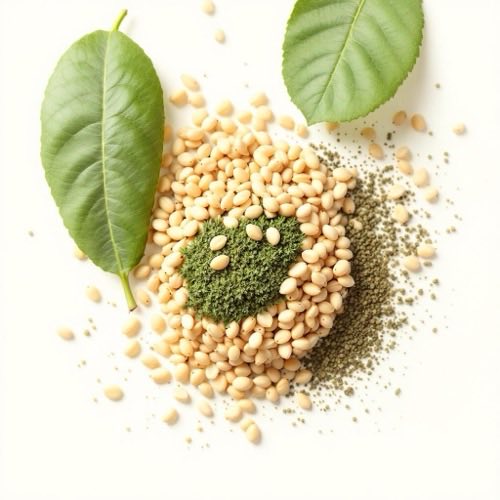 Extracto de té verde