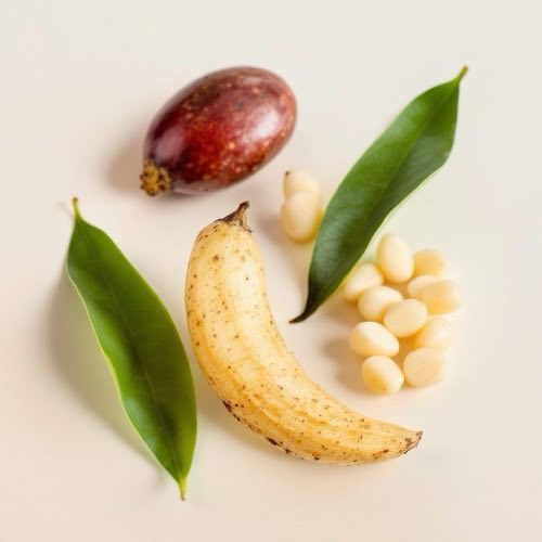 Ingrediente natural principal