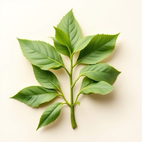 L-arginina