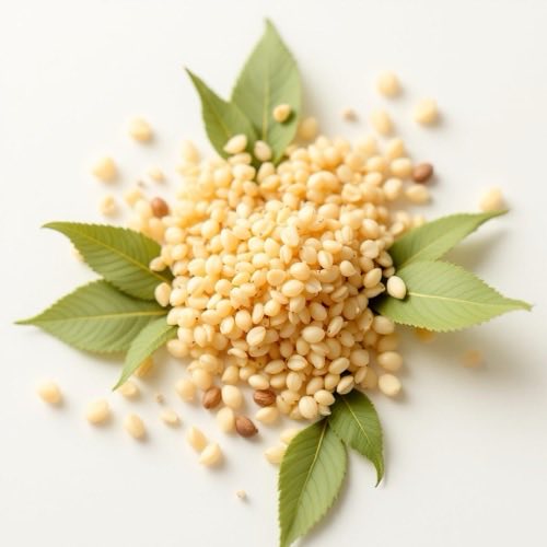 Cellulose microcristalline