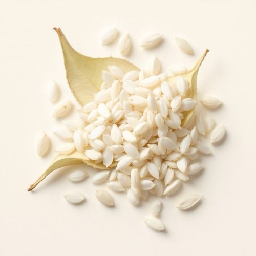 Extrait de riz naturel
