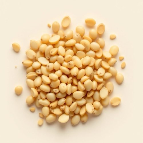 Έλαιο jojoba
