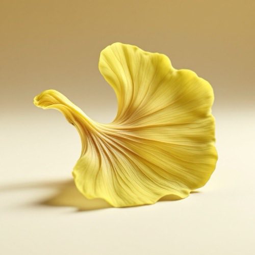 Εκχύλισμα Ginkgo Biloba