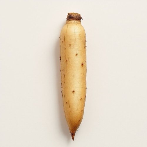 Εκχύλισμα Panax Ginseng
