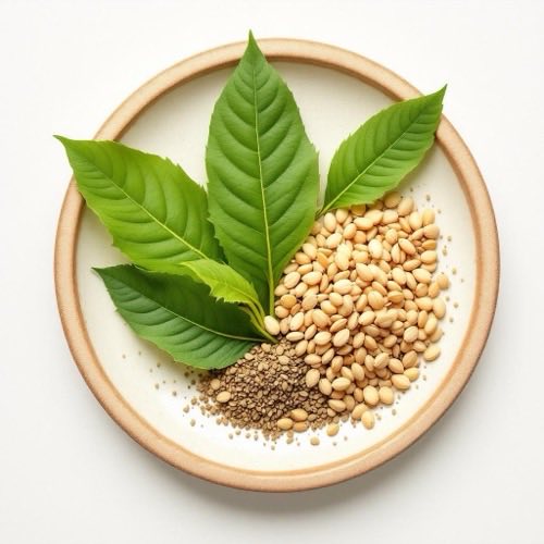 Extracto de té verde hojas naturales