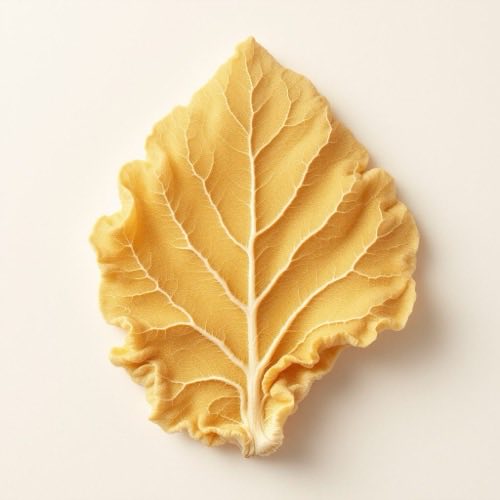 Ekstrakt gljive reishi