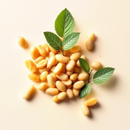 Biotin B-vitamin