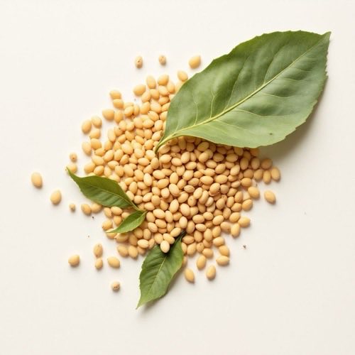 Biotin összetevő