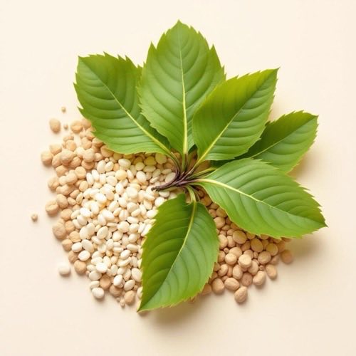 Kollagén peptid