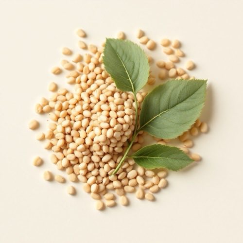 Glucosamine alami