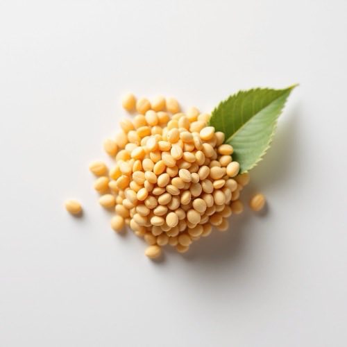 L-Carnitine