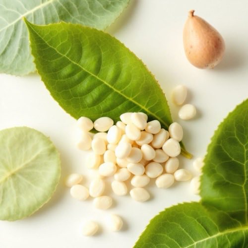 Vitamin B6