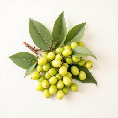 Indian gooseberry amla natural ingredient