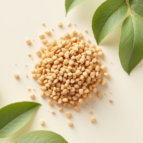 Boswellia serrata estratto