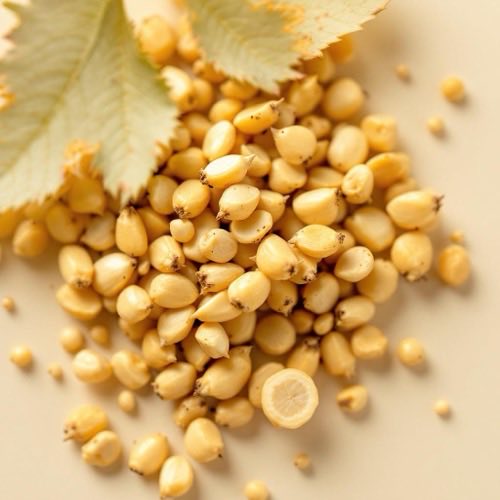 Boswellia serrata