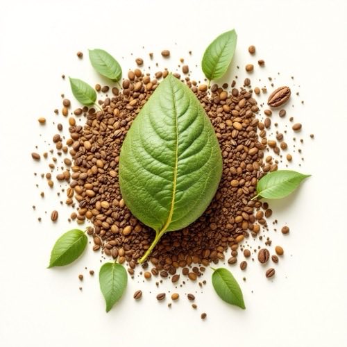 Estratto di caffè verde
