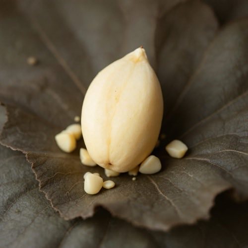 Estratto di foglie di banaba