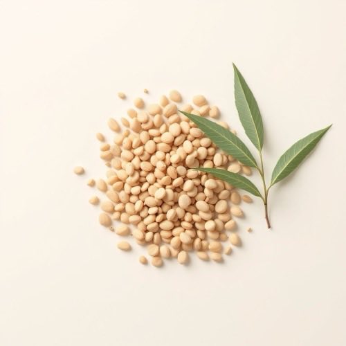 Estratto di Saw Palmetto