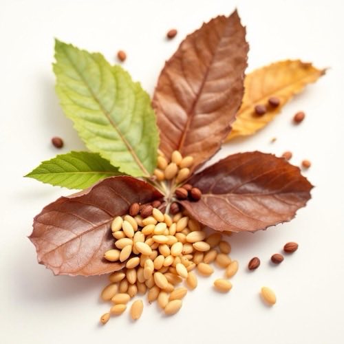 Proteine vegetali
