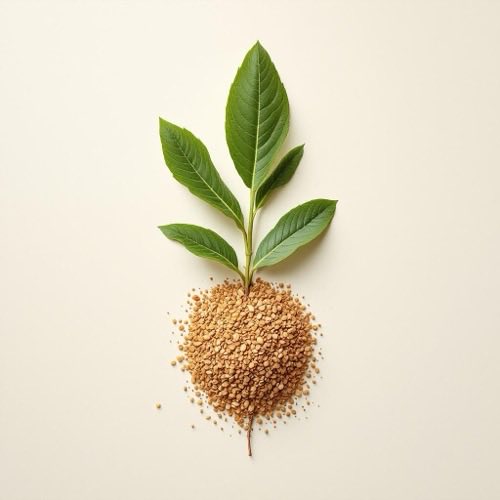 Vitamina A