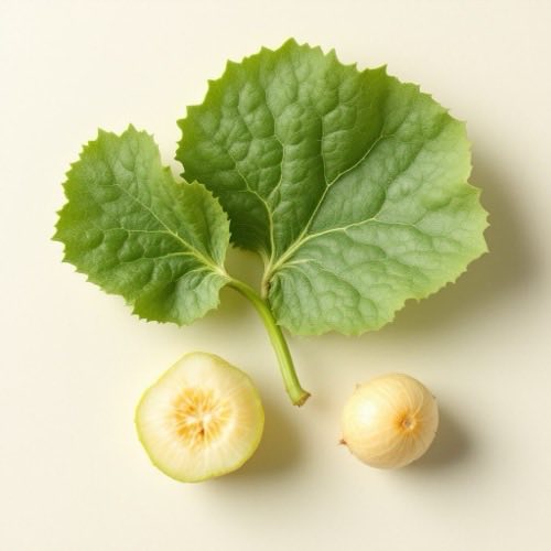 Bitter melon