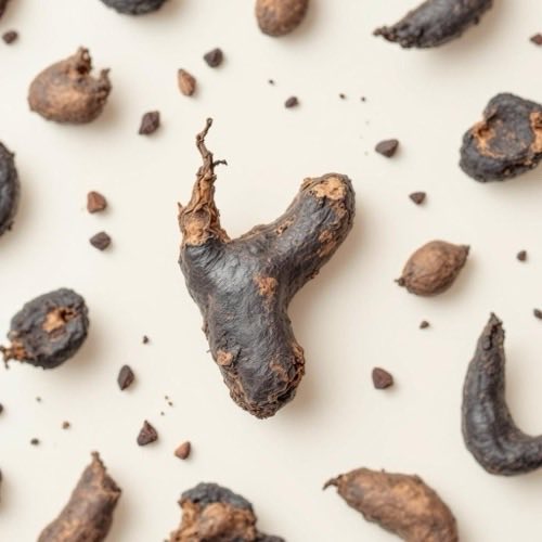 Black maca root tuber