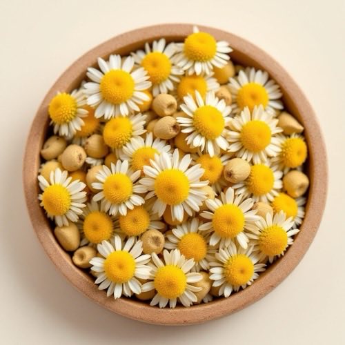 Chamomile flowers