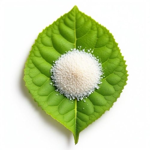 Zinc ingredient