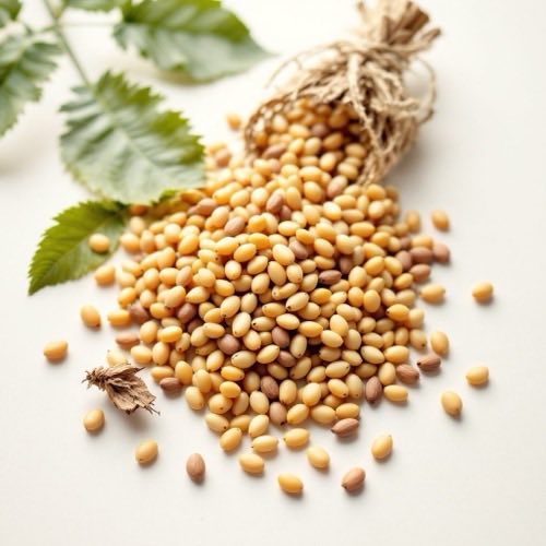 Šķiedrvielas (piemēram, inulīns)
