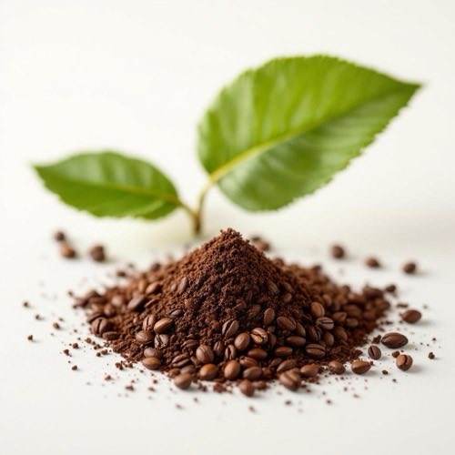 Extract de cafeină