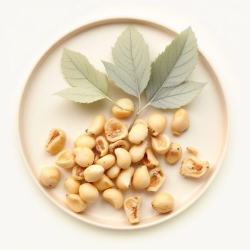 Boswellia serrata
