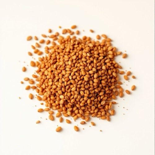 Extracto de Pygeum africanum