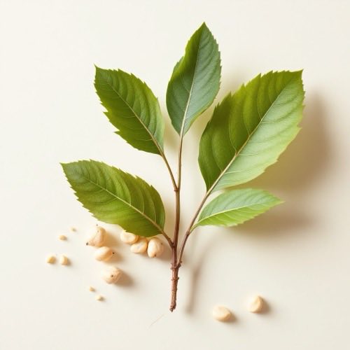 Extracto vegetal natural