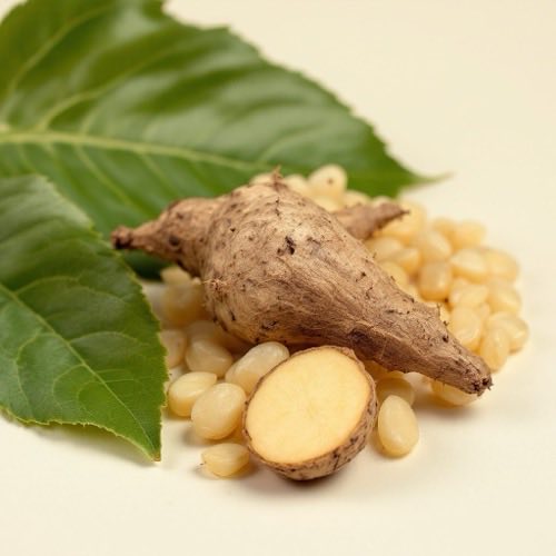 Maca root