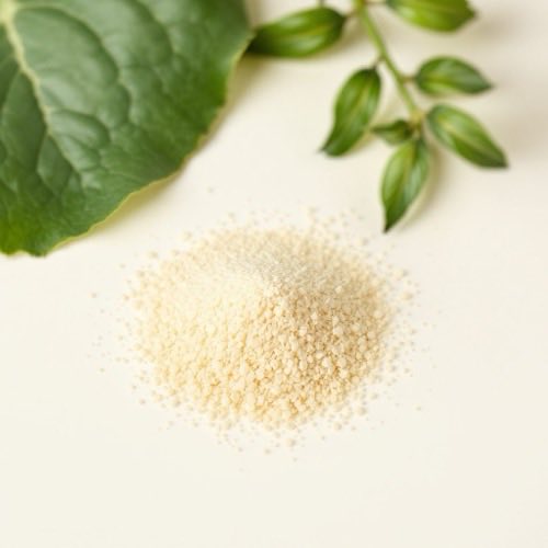 Inulin ingredient
